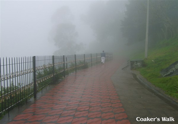 Coaker's Walk,Kodaikanal - Karthi Travels® | Vellore - Kodaikanal Tour