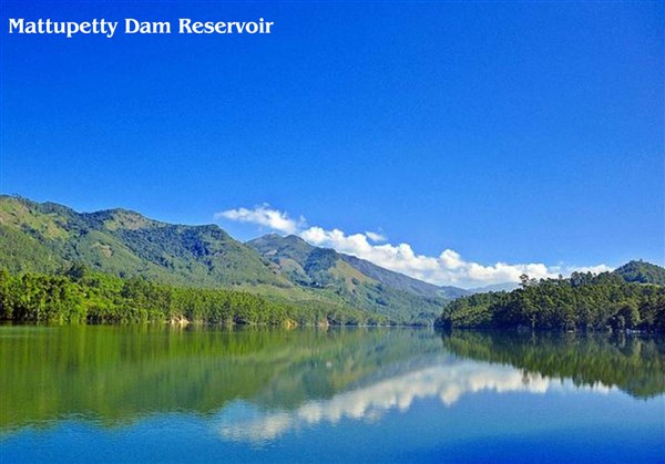 Mattupetti Dam, Munnar - Karthi Travels® | Vellore - Munnar & Thekkady Tour