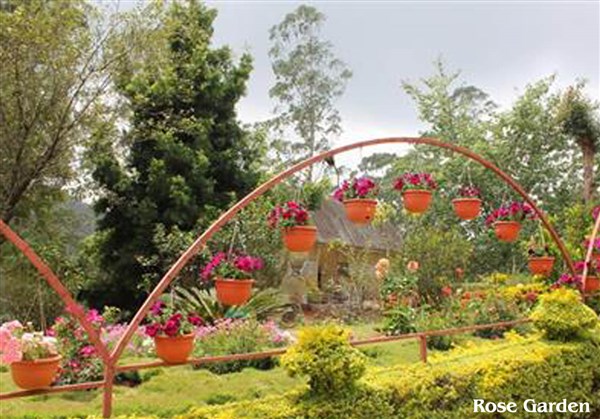 Rose Garden, Munnar - Karthi Travels® | Vellore - Munnar & Athirapally Tour