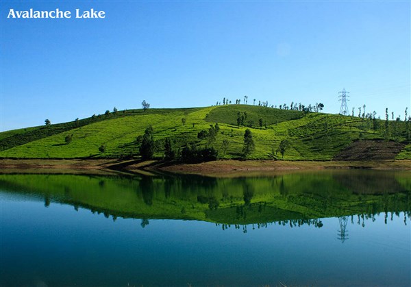 Ooty 3 Days Tour from Vellore to Vellore. 