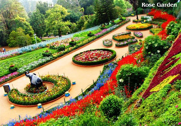 Ooty 2-Days  Tour from Arcot to Arcot. 