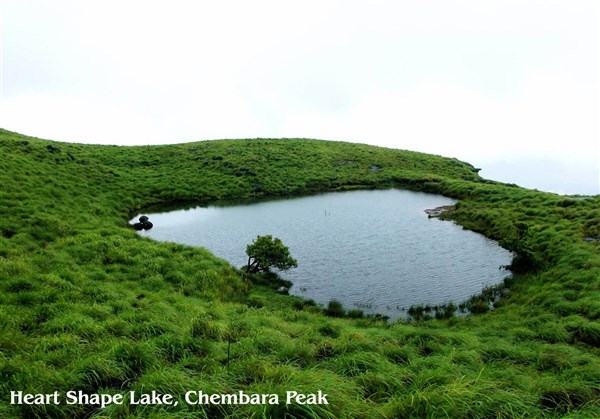 Chembra Peak & Heart Lake, Wayanad - Karthi Travels® | Vellore - Wayanad Tour