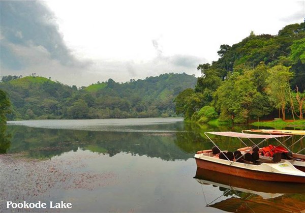 Pookode Lake, Wayanad - Karthi Travels® | Vellore - Wayanad Tour