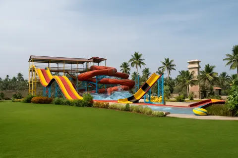 VGP Universal Kingdom