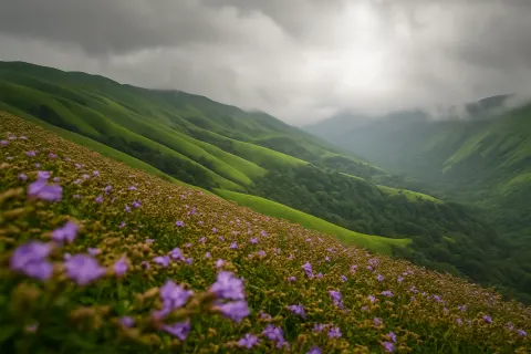 Devaramane in Chikmagalur - tourist attraction to visit with Karthi Travels