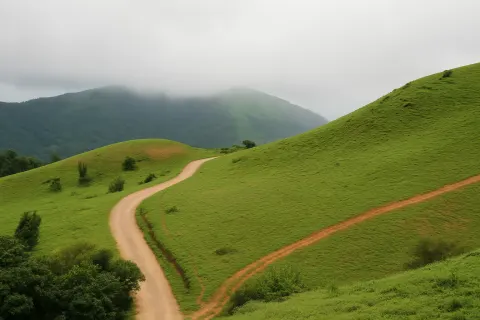 Plan your trip to Mandalpatti Viewpoint in Coorg with Karthi Travels® - View 3