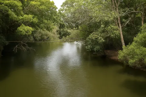 Nisargadhama in Coorg