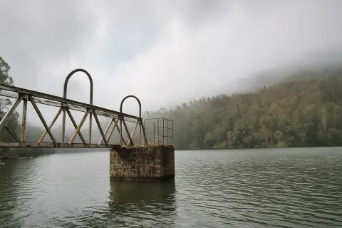 Plan your trip to Berijam Lake in Kodaikanal with Karthi Travels® - View 2