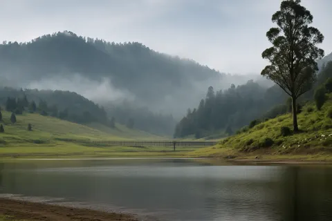 Plan your trip to Berijam Lake in Kodaikanal with Karthi Travels® - View 4
