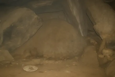 Visit Siddhar Caves in Kolli Hills, Tamil Nadu - Tourist attraction with Karthi Travels