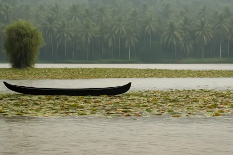 Plan your trip to Vellayani Lake in Kovalam with Karthi Travels® - View 3