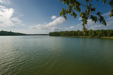 Plan your trip to Vellayani Lake in Kovalam with Karthi Travels® - View 4