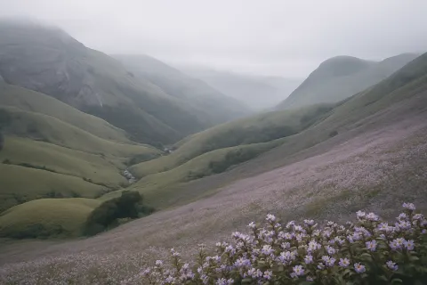 Anamudi Peak in Munnar