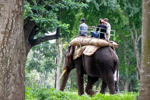 Plan your trip to Carmelagiri Elephant Park in Munnar with Karthi Travels® - View 2