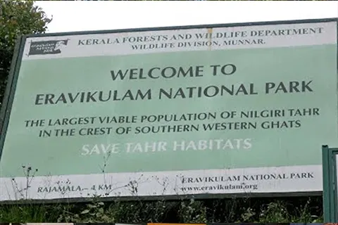 Plan your trip to Eravikulam National Park in Munnar with Karthi Travels® - View 4