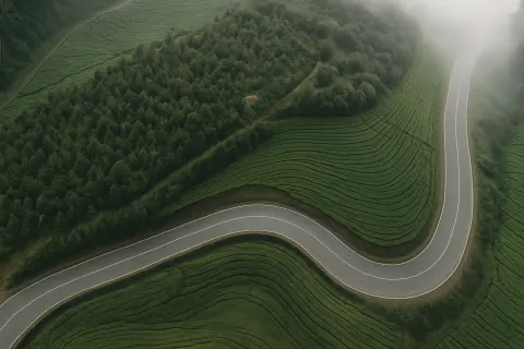 Plan your trip to Lockhart Gap in Munnar with Karthi Travels® - View 3