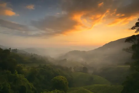 Plan your trip to Pothamedu Viewpoint in Munnar with Karthi Travels® - View 3