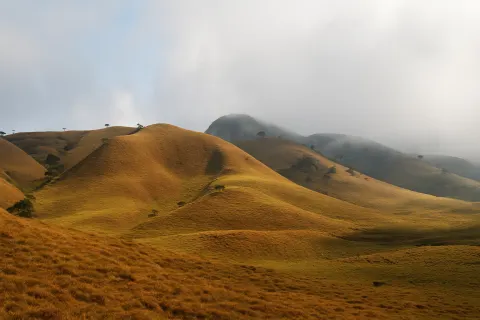 Mukurthi National Park in Ooty