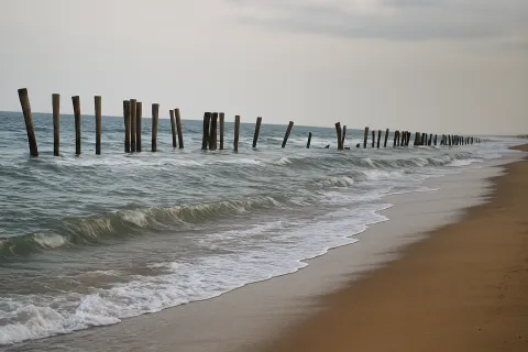 Plan your trip to Auroville Beach in Puducherry with Karthi Travels® - View 2