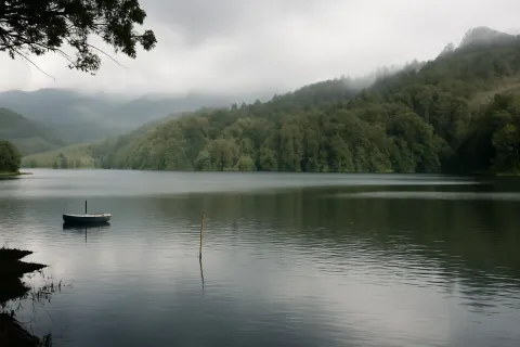 Plan your trip to Periyar Wildlife Sanctuary in Thekkady with Karthi Travels® - View 3