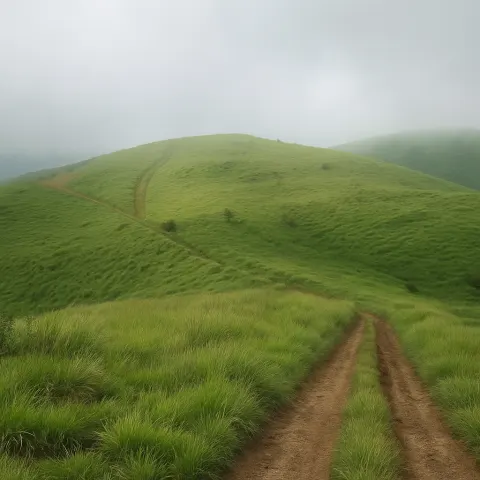 Plan your trip to Uluppuni Top Station in Vagamon with Karthi Travels® - View 3