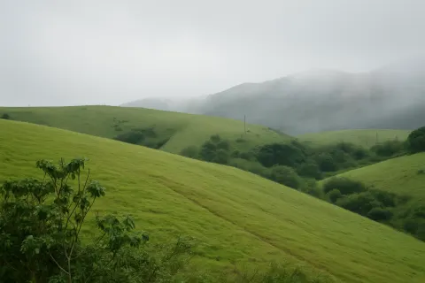 Vagamon Meadows in Vagamon