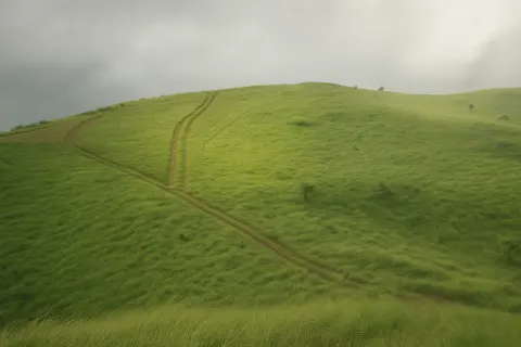 Plan your trip to Vagamon Meadows in Vagamon with Karthi Travels® - View 4