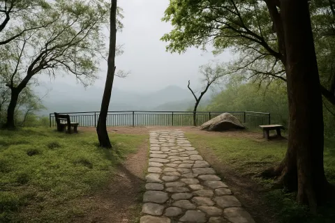 Hornbill View Point & Jungle Walk in Valparai