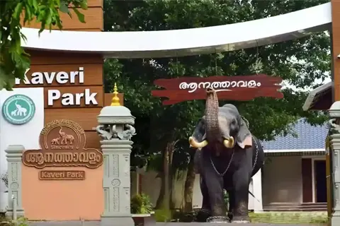 Kaveri Elephant Park in Varkala - tourist attraction to visit with Karthi Travels