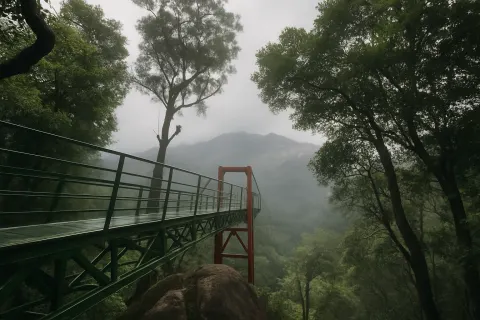 Plan your trip to 900 Kandi in Wayanad with Karthi Travels® - View 4