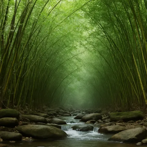 Plan your trip to Bamboo Forest (Muthanga Range) in Wayanad with Karthi Travels® - View 3