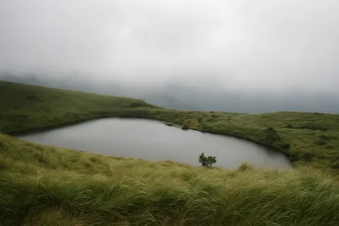 Plan your trip to Chembra Peak in Wayanad with Karthi Travels® - View 3