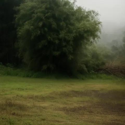 Plan your trip to Muthanga Wildlife Sanctuary in Wayanad with Karthi Travels® - View 2