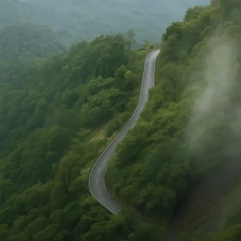 Plan your trip to Neelimala View Point in Wayanad with Karthi Travels® - View 4