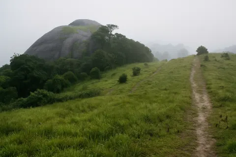 Plan your trip to Pakshipathalam in Wayanad with Karthi Travels® - View 2