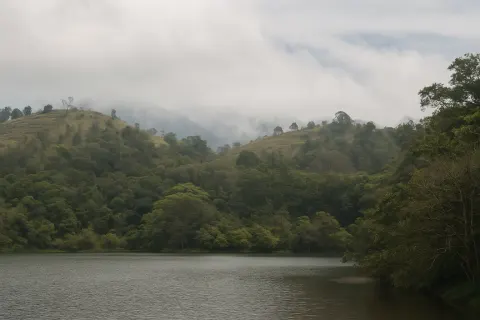 Plan your trip to Pookode Lake in Wayanad with Karthi Travels® - View 3