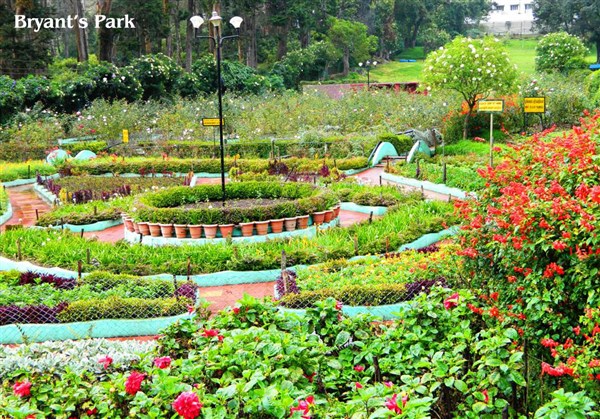 Bryants Park, Kodaikanal - Karthi Travels | Ranipet - Kodaikanal Tour