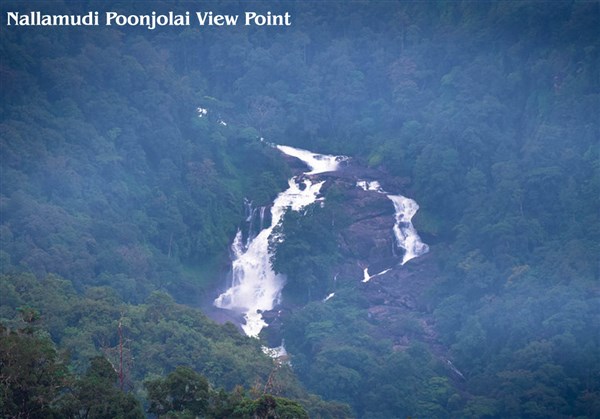 Nallamudi Poonjolai, Valparai - Karthi Travels | Ranipet - Valparai & Athirapally Tour