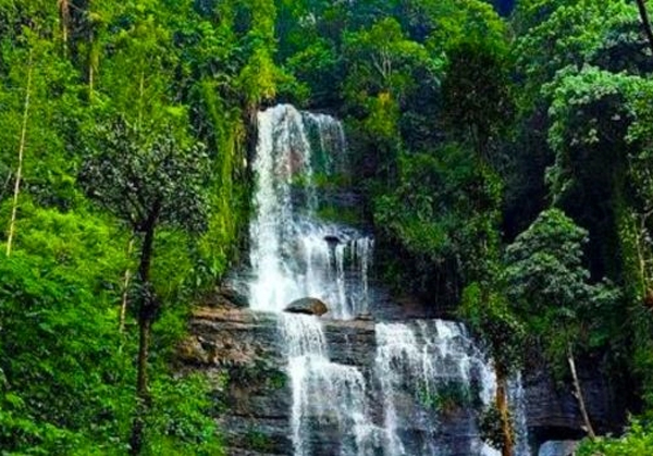 'Vellore to Ooty, mysore, Coorg, Chikmagalur'