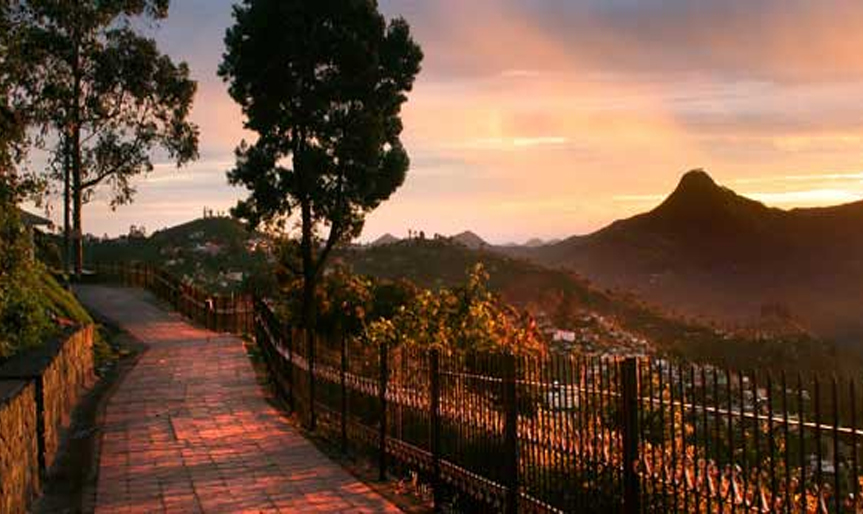 'Madurai to Ooty, Kodaikanal'