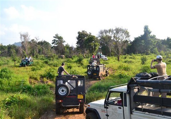 'Vellore to Ooty, Coonoor, Masinagudi'