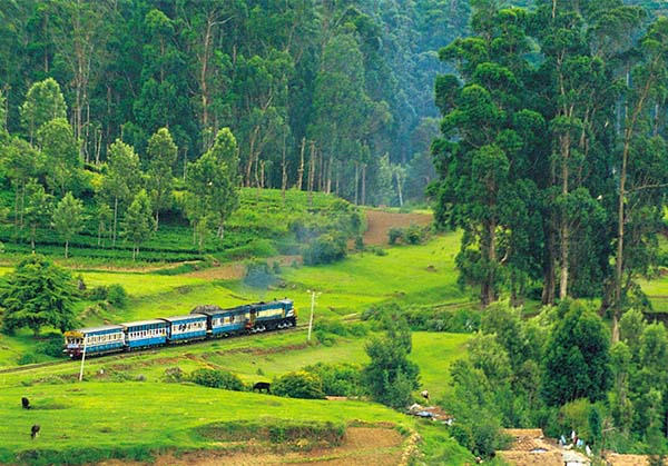 Ooty 2  day tour from Vellore