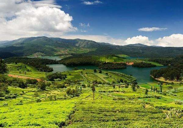 Ooty 3  day tour from Vellore