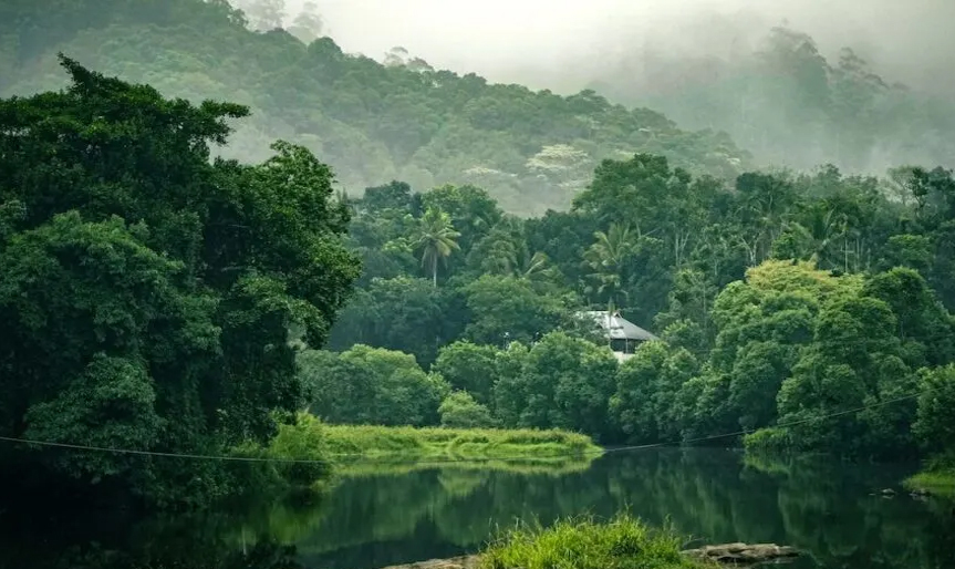 'Dindigul to Vagamon, Thekkady'