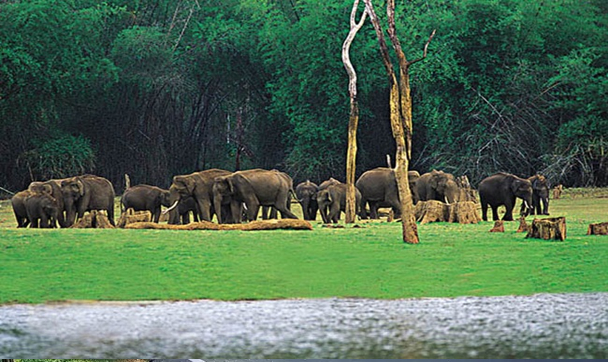 'Vellore to Munnar, Vagamon, Thekkady'