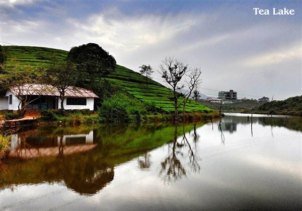 'Vellore to Vagamon'