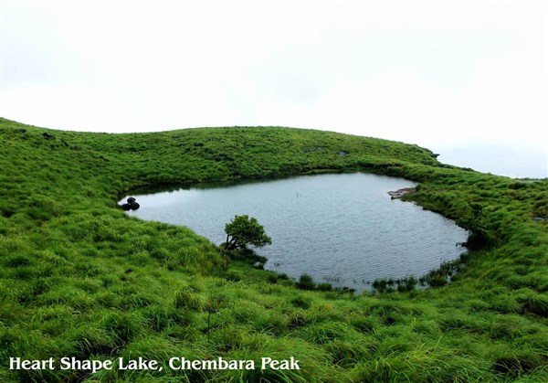 'Erode to Wayanad'