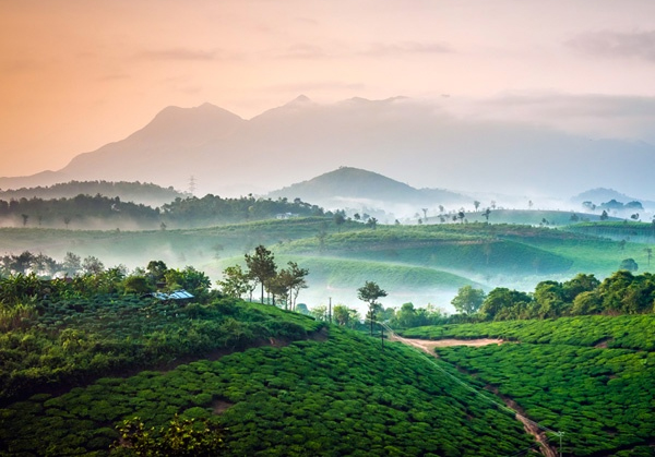 'Coimbatore to Ooty, Mysore, Coorg, Wayanad'