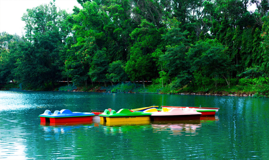 'Vellore to Yelagiri'