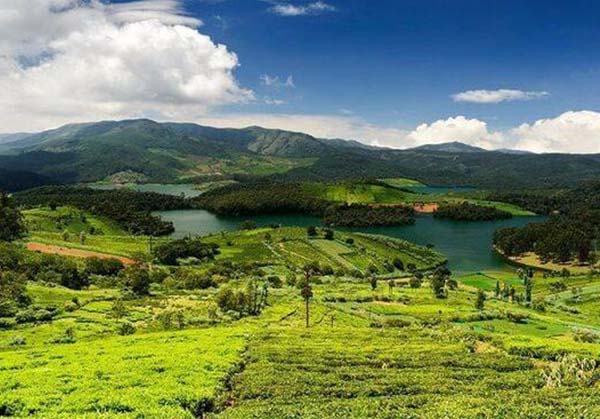 Vaniyambadi to Ooty 3 day tour package by Karthi Travels, rated 4.9 stars